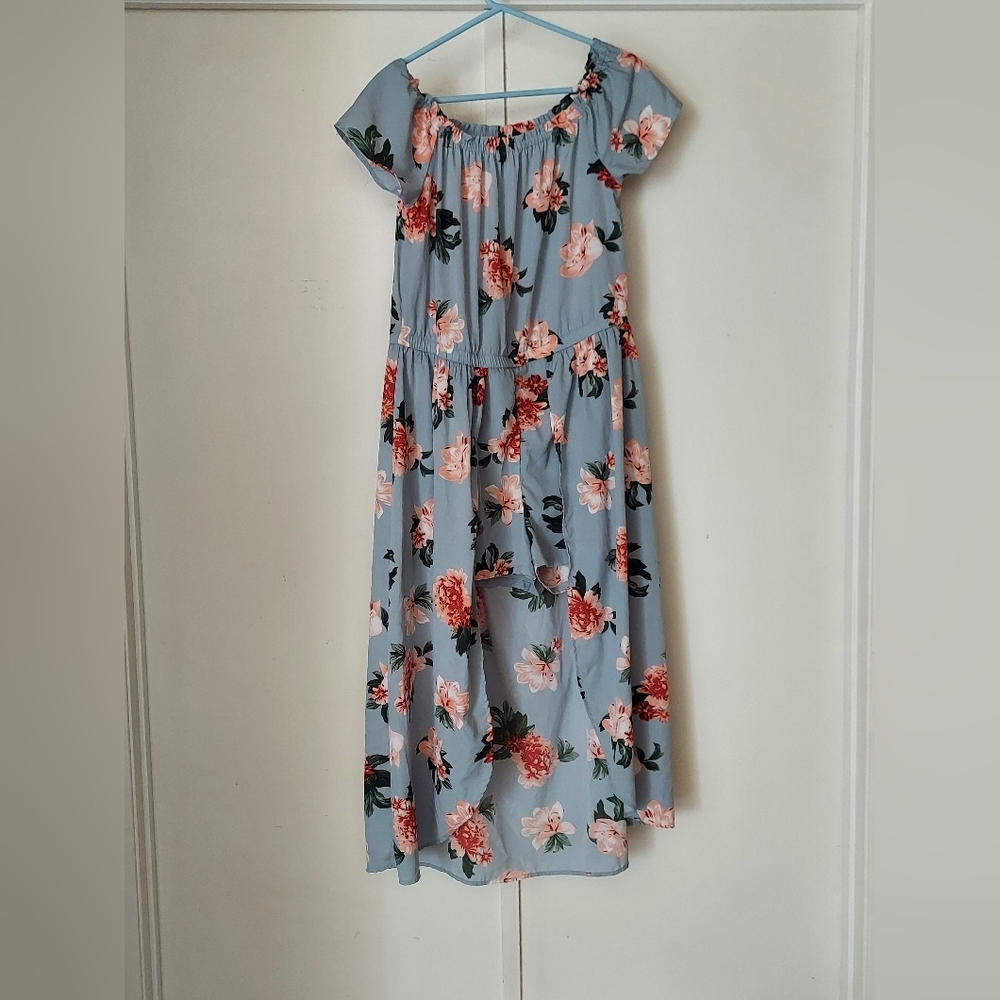 Floral Blue Dress